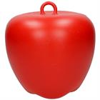 Pomme Jouet 