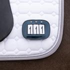 Porte dossards QHP Bleu foncé