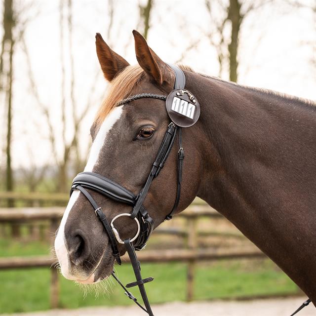 Porte dossards Ricki QHP Marron-doré
