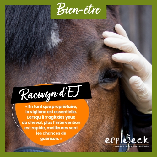 Problèmes oculaires chez les chevaux : ce qu’il faut absolument savoir