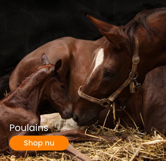 Produits poulains