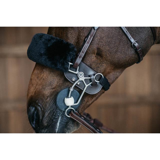 Protection de hackamore Dy'on Marron