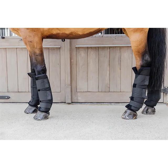Protections d'écurie PROtect Classic Kentucky Arrière Noir