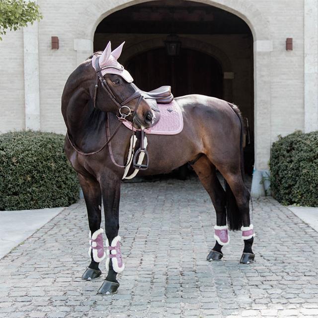 Protège-boulets mouton végan pour jeune cheval Kentucky Rose