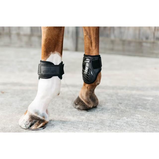 Protège-boulets pour jeune cheval Kentucky Noir
