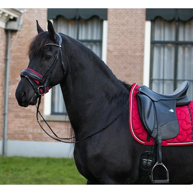 Protège-Muserolle Barbe Friesian QHP Rouge