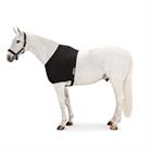 Protège Poitrail Dyn Air Mesh Eskadron Noir