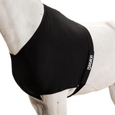 Protège Poitrail Dyn Air Mesh Eskadron Noir