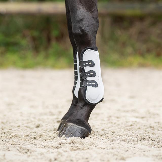 Protège-tendons Champion QHP Blanc