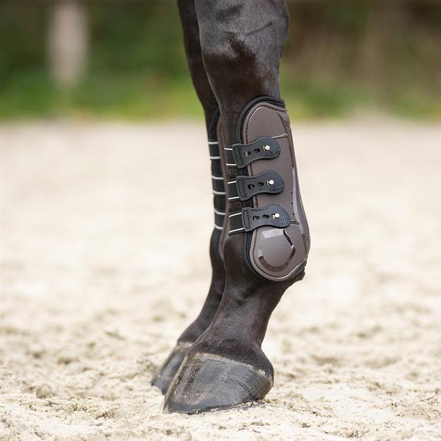 Protège-tendons Champion QHP Marron