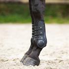 Protège-tendons Champion QHP Noir