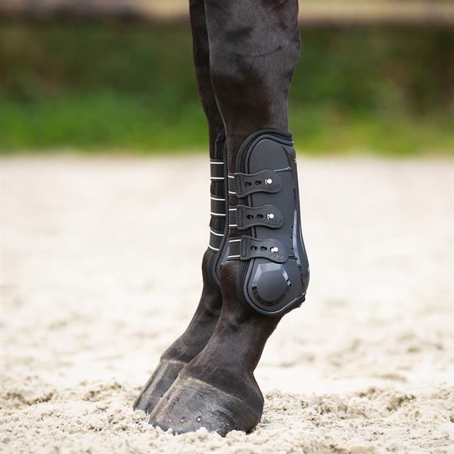 Protège-tendons Champion QHP Noir