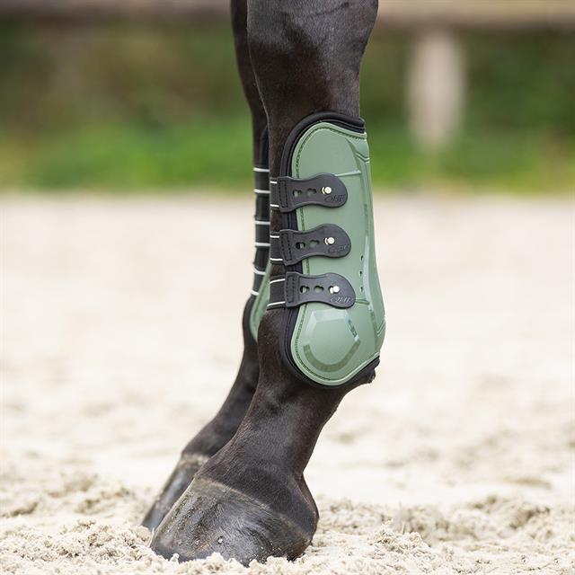 Protège-tendons Champion QHP Vert foncé