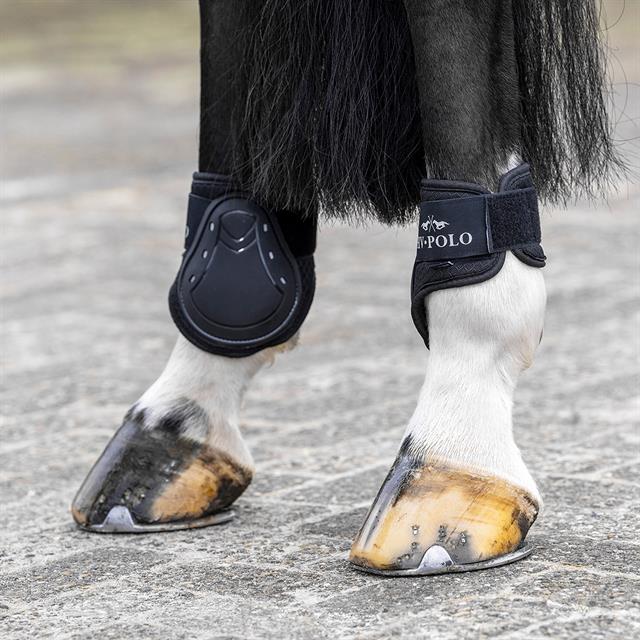 Protège-tendons HVPClassic HV POLO Noir