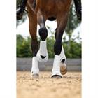 Protège-tendons Motionflex Dressage LeMieux Blanc
