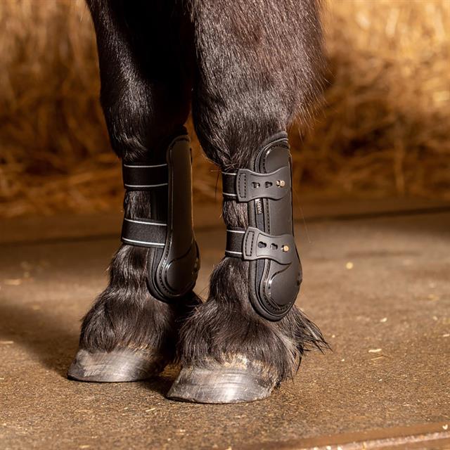 Protège-tendons Pinlock Harry's Horse Noir