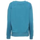 Pull Cycle Three Roan MID BLUE
