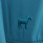 Pull Cycle Three Roan MID BLUE