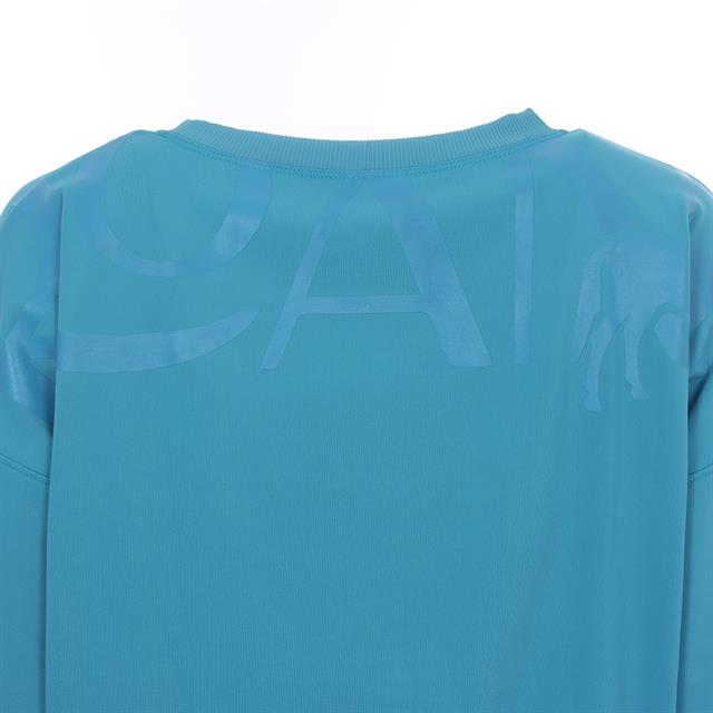 Pull Cycle Three Roan MID BLUE