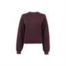 Pull Elora Cavallo