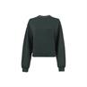 Pull Elora Cavallo