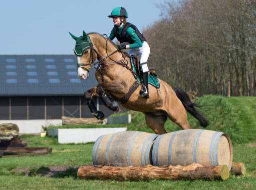 Equipement cross cheval : Matériel d'Equitation