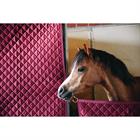 Rideau de box Kentucky Rouge foncé
