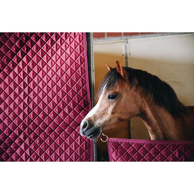 Rideau de box Kentucky Rouge foncé