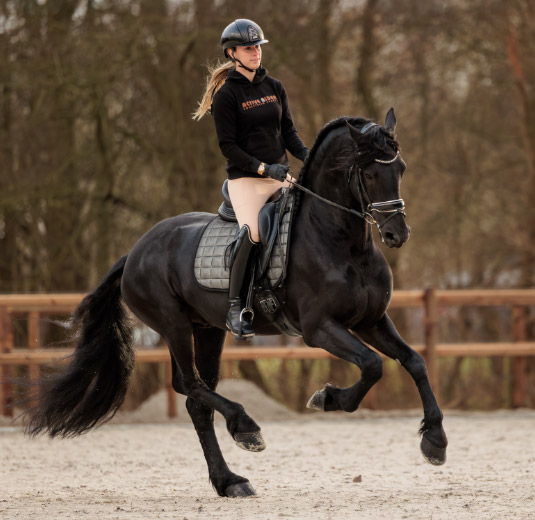 Row 1 Active Rider AW'24