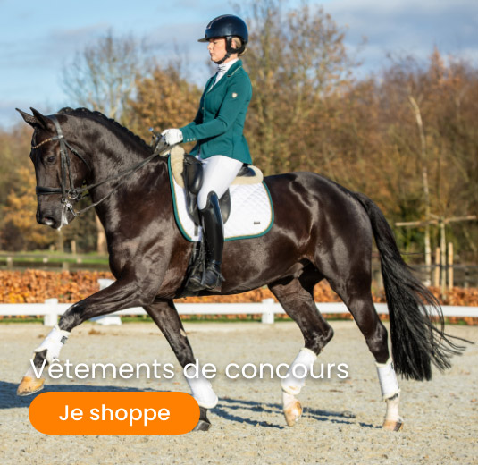 Row 1 banner 1 concours
