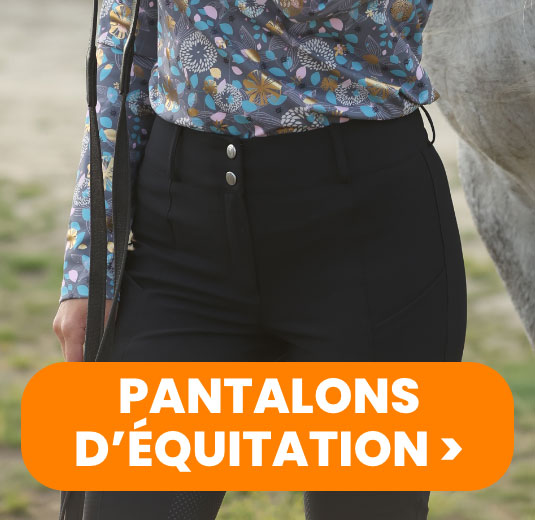 Row 1 Banner 1 Pantalons d'équitation