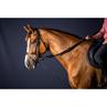 Rênes Allemandes New English Huntergrip Dy'on Noir