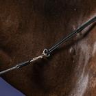 Rênes Gogue Working By Dy'on Marron