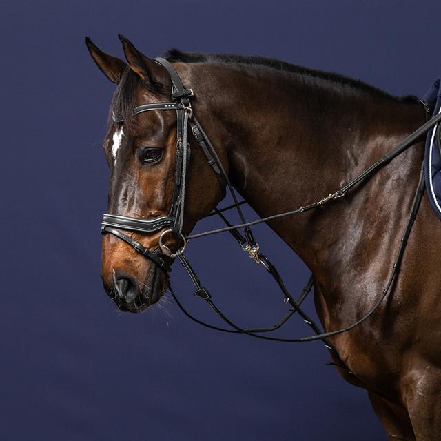 Rênes Gogue Working By Dy'on Noir