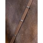 Rênes Webbed Continental LeMieux Marron-argenté