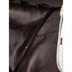 Rênes Webbed Continental LeMieux Noir-argenté