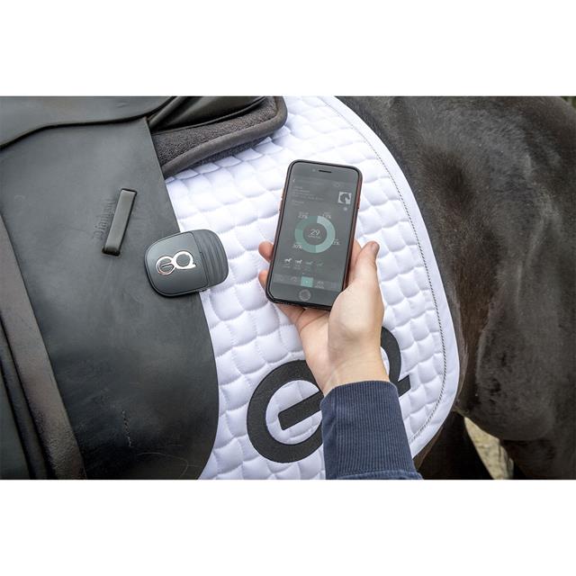 Saddle Clip Equestic 