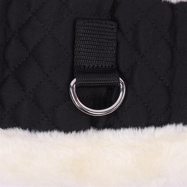 Sangle courte EJFur Epplejeck Noir-beige
