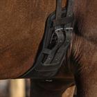 Sangle de dressage Air Mesh QHP Noir