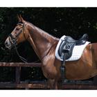 Sangle de Dressage Anatomical QHP Noir