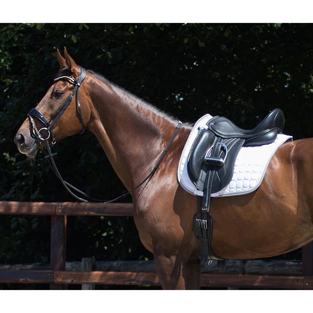 Sangle de Dressage Anatomical QHP Noir