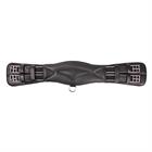 Sangle de dressage cuir Horka Noir-argenté