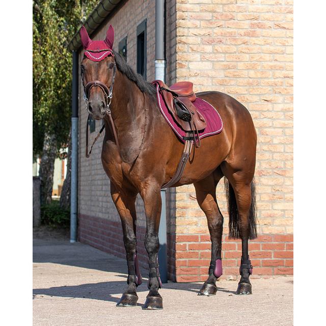Set Protège-tendons QHP Rouge foncé