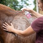 Shampooing aux extrait de ginkgo bio bio Autre