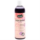Shampooing Easy Shine Grey Ravene 