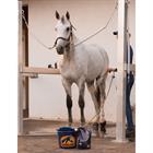 Shampooing Equi Wash Cavalor Autre