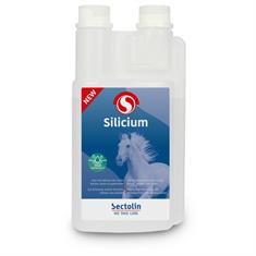 Silicium Sectolin Autre