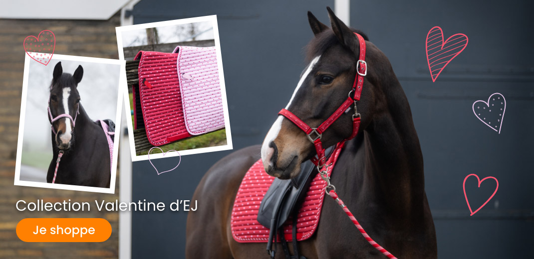 Slider desktop EJ's valentine collectie