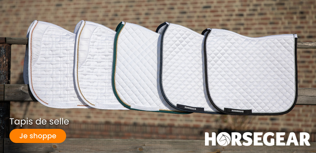 Slider desktop HORSEGEAR