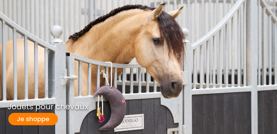 Slider desktop_stal_paardenspeelgoed